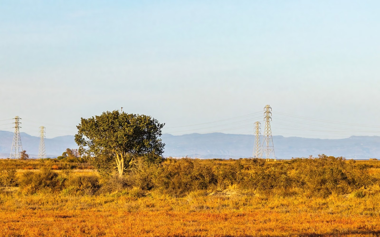 Delaware Basin Mineral Rights